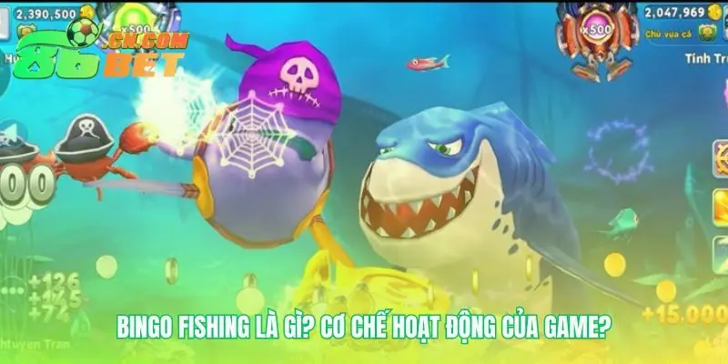 Nắm vững luật chơi Bingo Fishing để thắng