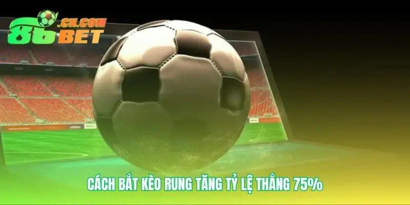 Công cụ phân tích kèo rung chuyên nghiệp