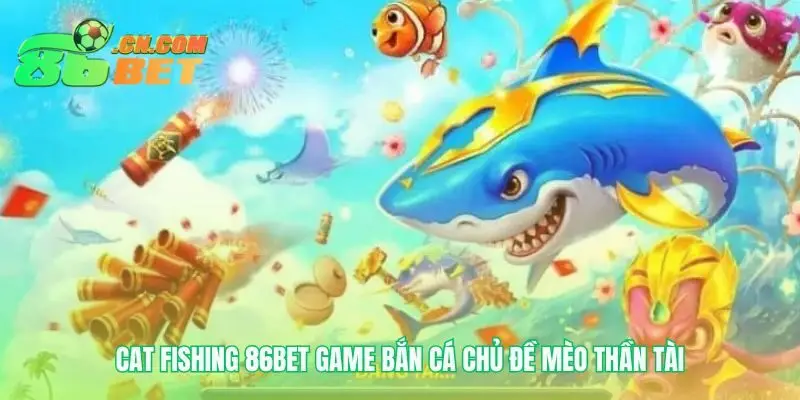 Khám phá thế giới đại dương Cat Fishing