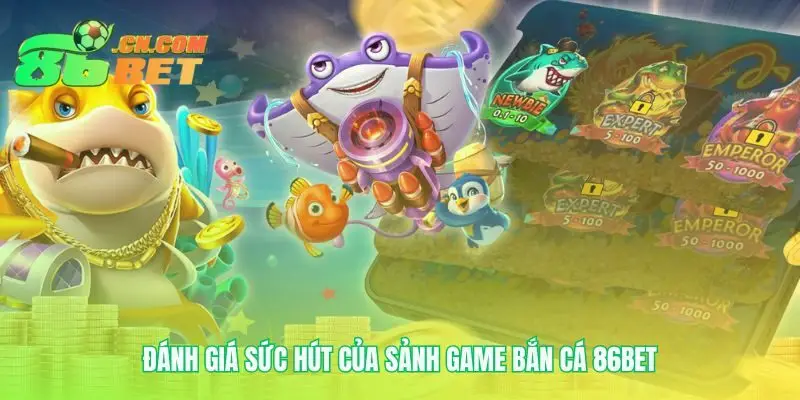 Lý giải ma lực cuốn hút của đại dương số