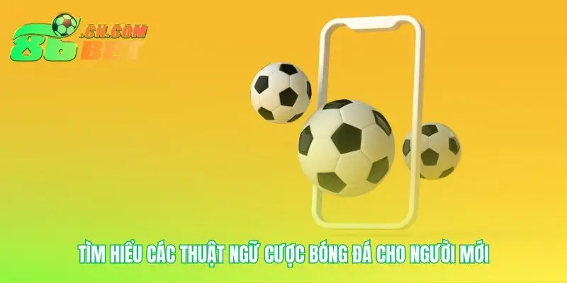 Học ngôn ngữ của những con số